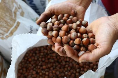 Fındık ihracatından 3 ayda 658 milyon doları aşkın gelir