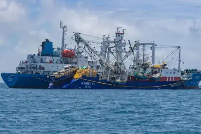 İklim değişikliği Pasifik bölgesinin ekonomik omurgasını nasıl tehdit ediyor?