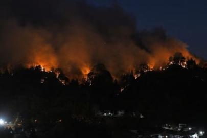 Japonya’da orman yangınları büyüyor: 1000 hektardan fazla alan kül oldu