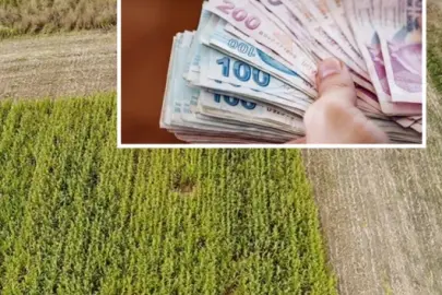 Kırsalda büyük yatırım hamlesi: 327,5 milyar lira ekonomiye kazandırıldı