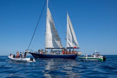 Küresel Sumud Filosu Akdeniz’e açıldı: 65 tekne Gazze için yola çıktı
