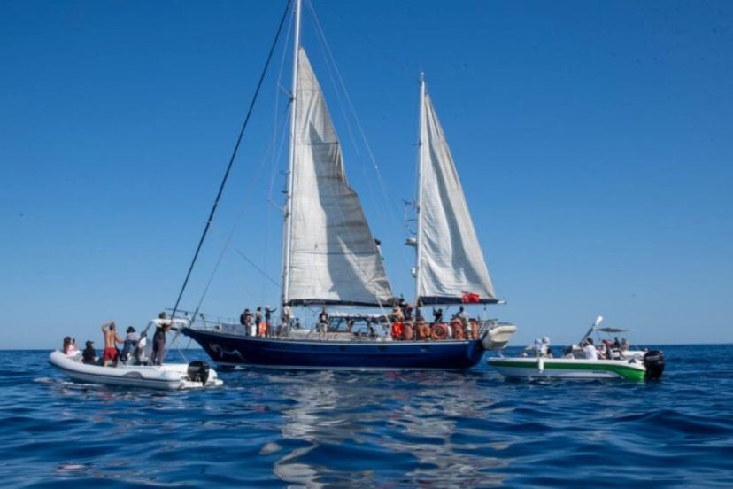 Küresel Sumud Filosu Akdeniz’e açıldı: 65 tekne Gazze için yola çıktı