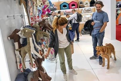 Mart ayının zam şampiyonu: Evcil hayvan ürünleri