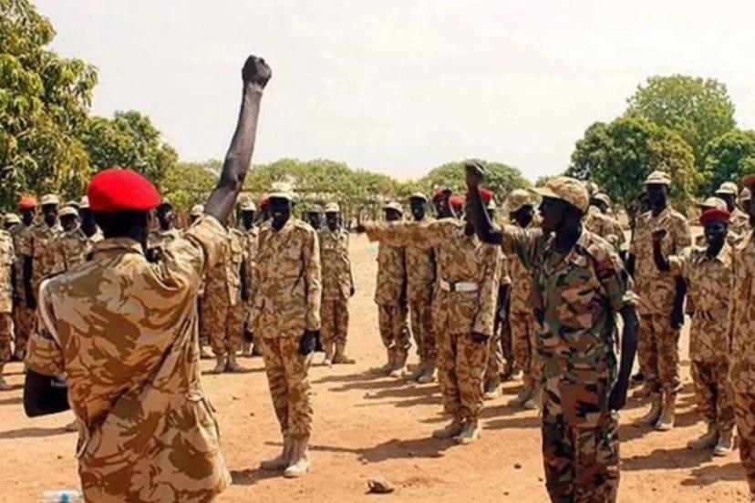 Nijeryalı 200 askeri personel, Türkiye'de eğitim görecek