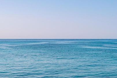 Okyanusların yüzde 10'undan fazlası resmi olarak koruma altına alındı