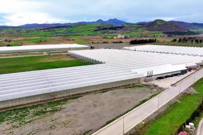 Samsun’da sera organize tarım bölgesi üretim üssü haline geliyor