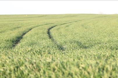Son dönemdeki yağış ve sıcaklıkların tarımsal üretime olumlu yansıması bekleniyor
