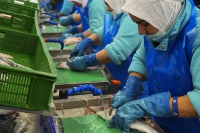 Su ürünleri ihracatı yılın ilk çeyreğinde yaklaşık 553 milyon dolar oldu