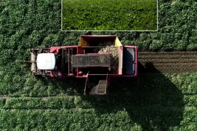 Türk şirketi Batı Afrika’da tarım üssü kuruyor