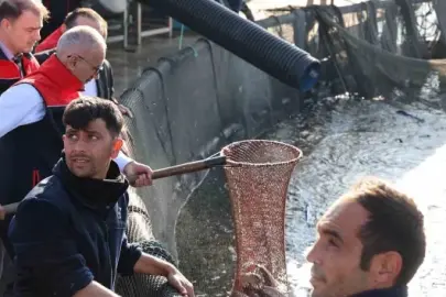 Türk somonu ihracatı yılın ilk çeyreğinde 91 milyon doları aştı