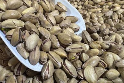 Türkiye'nin 3 aylık fıstık ihracatı geliri: 32,8 milyon dolar