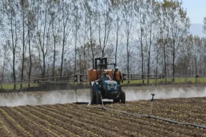 Üreticilere destek yağdı: Çiftçilere tarımsal destek bugün hesaplara yattı