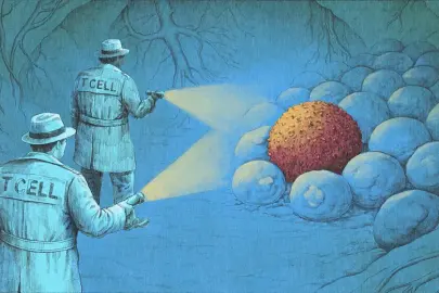 Yeni bir immünoterapi dalgası kanserleri nasıl ortadan kaldırıyor?