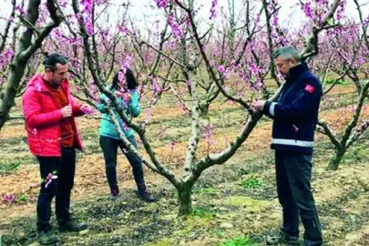 Zirai dona karşı köklü dönüşüm çağrısı