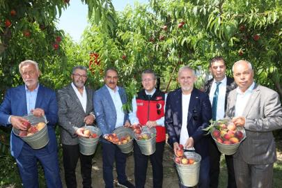 2026 yılının ilk dört ayında şeftali ve nektarin ihracatı yüzde 300 arttı