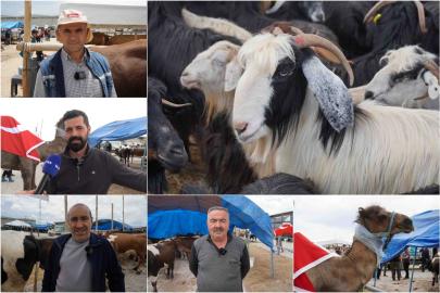 Artan yem fiyatları besicileri zorluyor: Sektör bitme noktasına geldi
