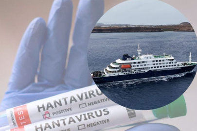 DSÖ'den hantavirüs açıklaması: Küresel salgın riski yok