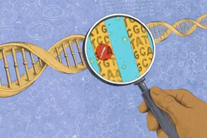Genetik mi, çevre mi? Kişiliğimizi ne şekillendiriyor?