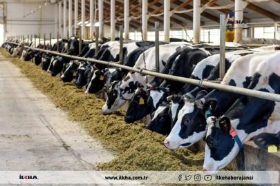 IPARD-III kapsamında üreticilere 374,7 milyon lira hibe desteği