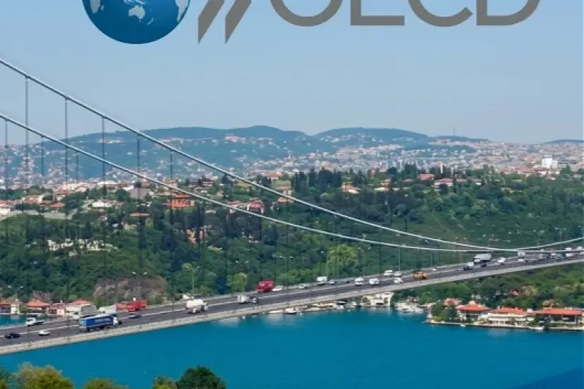 OECD İstanbul'un faaliyet süresi 3 yıl daha uzatıldı