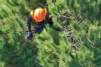 Tarım ve Orman Bakanlığı çok sayıda sözleşmeli personel alacak