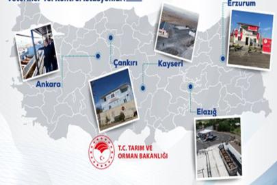 Tarım ve Orman Bakanlığı: Hayvan sevkiyatlarında denetimler aralıksız sürüyor