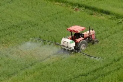 Bakan Yumaklı, çay üreticilerine 2,6 milyar liralık tarımsal destek ödemesinin yapıldığını bildirdi