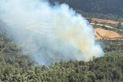 Balıkesir'de orman yangını: Havadan ve karadan müdahale ediliyor