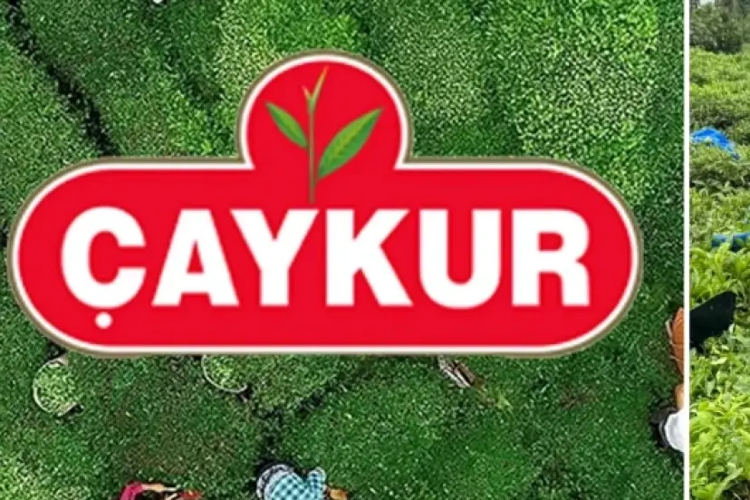 ÇAYKUR'dan yaş çay alımına bir günlük ara