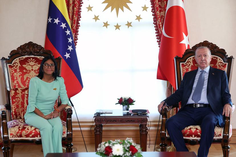 Cumhurbaşkanı Erdoğan, Venezuela Cumhurbaşkanı Vekili Delcy Rodriguez ile görüştü