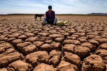 Küresel ısınmayı 1,5C'de tutmak neden önemli?