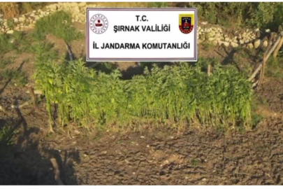 Şırnak merkezli 3 ilde uyuşturucu operasyonu: 5 gözaltı