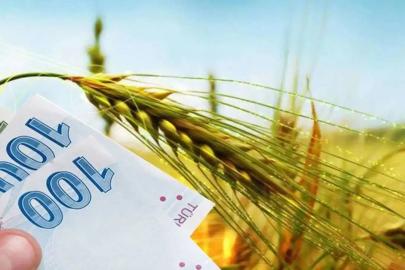 Tarımsal destek ödemeleri çiftçilerin hesaplarına aktarılıyor
