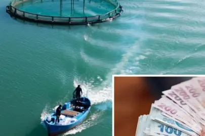 Üreticilere 30 milyon euroluk hibe desteği: Bakan Yumaklı başvuru detaylarını açıkladı