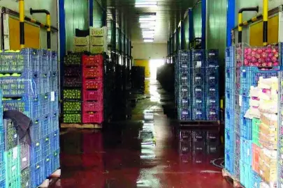 633 depoyla kesintisiz gıda arzı