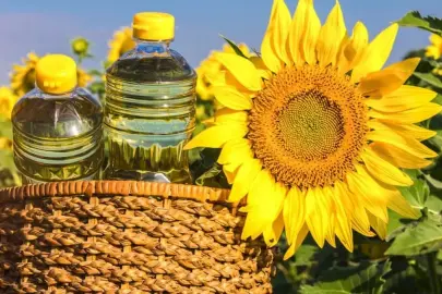 Ayçiçeği yağı için kritik karar! Başvurular e-devlet'ten... Yağlık tohumda yeni tarife belli oldu