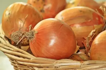 Bakanlık açıkladı: Kuru soğanda gümrük vergisi düzenlemesi! İthalatta vergi oranı yüzde 5 oldu