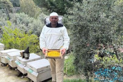 Büyük Hasada Doğru: Kovanda Yaz Mesaisi