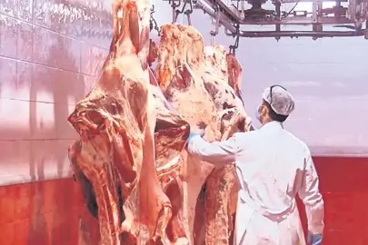 Kesime kamera kaydı ete küpeden takip