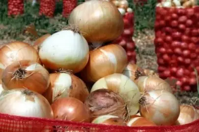 Kuru soğanda gümrük vergisi geçici süreyle yüzde 5'e indirildi