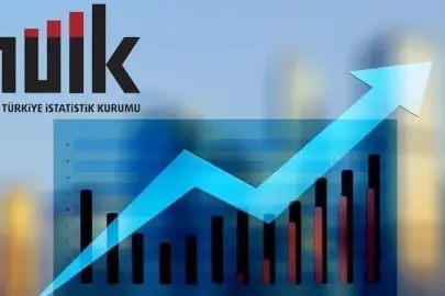 Lisans mezunlarında kayıtlı istihdam oranı yüzde 73,9