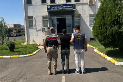 Şanlıurfa’da 6 yıl 3 ay hapis cezasıyla aranan hükümlü yakalandı