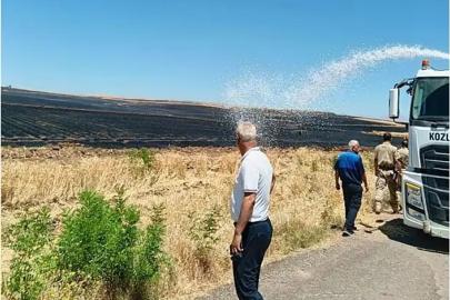 Siirt'te buğday tarlalarında yangın: Yüzlerce dönüm alan kül oldu