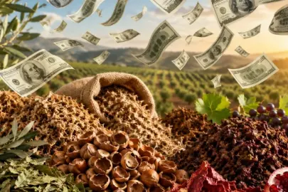Tarımsal atıkta 120 milyar dolarlık hazine