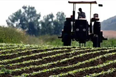 Tarlada üretici fiyatlarında dikkat çeken düşüş! İşte fiyatı en çok gerileyen ürünler