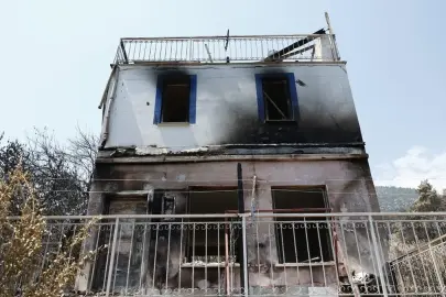Bakan Kurum açıkladı! 5 ilde çalışmalar tamamlandı: Orman yangınlarının hasarı ortaya çıktı