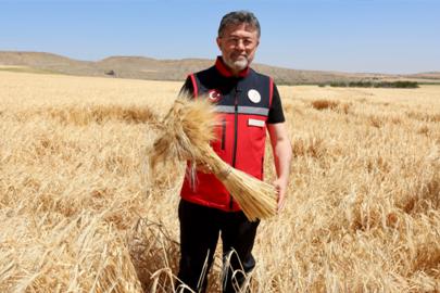 Bakan Yumaklı: TMO üreticilere 120 milyar lira ödeme yaptı