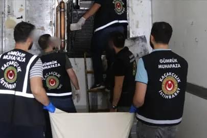 Bakanlık devreye girdi: Hayvan kaçakçılığına geçit yok! 58 bin canlı kurtarıldı