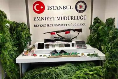 Beykoz'da uyuşturucu operasyonunda Hint keneviri ve silah ele geçirildi