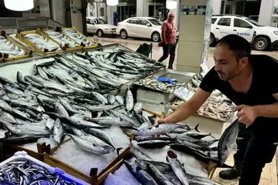 Bu sene tezgahlara erken inecek! Bakan Yumaklı duyurdu: Palamut ve torikte av sezonu başlıyor